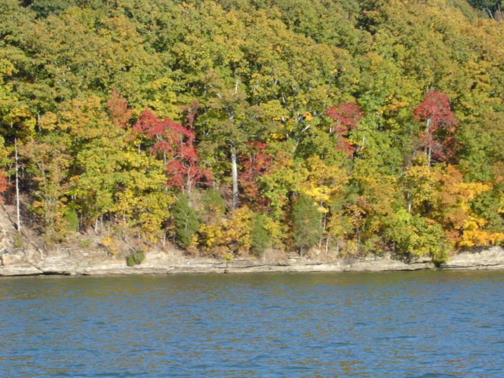 Photo Fall on Wheeler Lake