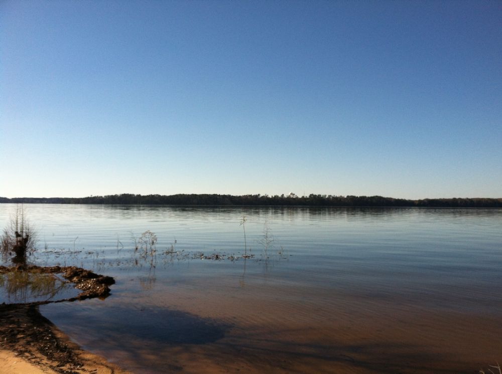 Photo Cool Branch Park