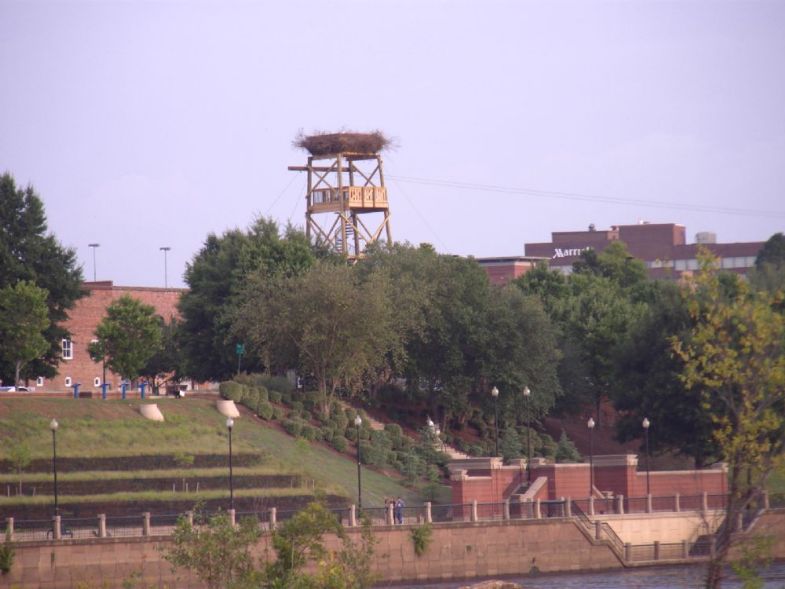 Base Tower in Columbus